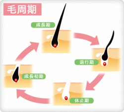 【当院はメンズ脱毛に力を入れています！】医療脱毛のベストシーズンは？