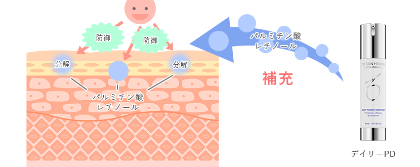 デイリーPDの主成分はパルミチン酸レチノール